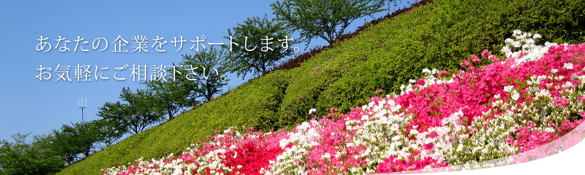 ヘッダーの画像